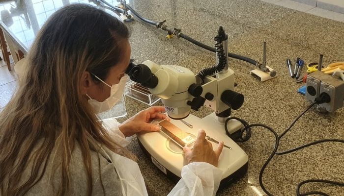  Combate: Paraná monitora arboviroses com sistema eficiente e de baixo custo 